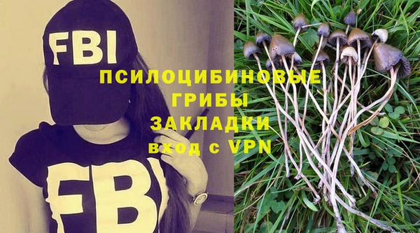 ALPHA-PVP Алексеевка