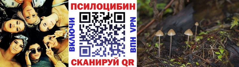 где продают   mega рабочий сайт  Галлюциногенные грибы прущие грибы  Ачинск 