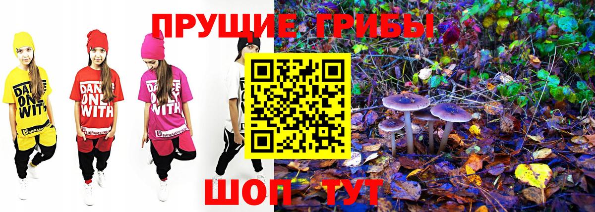 Псилоцибиновые грибы MAGIC MUSHROOMS Ачинск