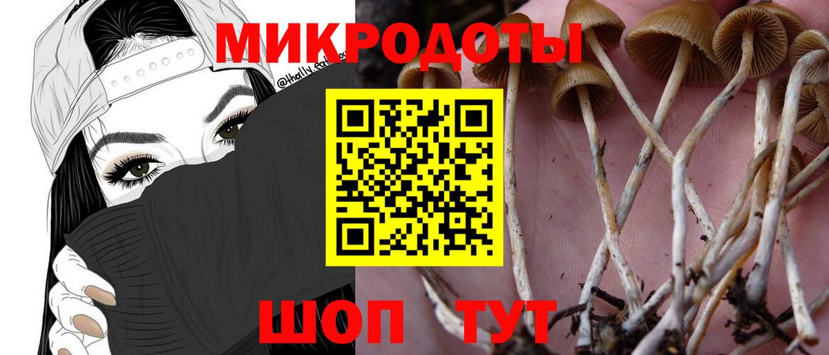 Галлюциногенные грибы прущие грибы  Вход с VPN  Ачинск  Псилоцибиновые грибы мицелий 